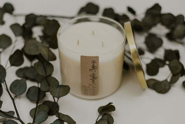 Eucalyptus Clippings Three Wick Soy Candle